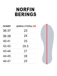 Сапоги зимние NORFIN Berings с манж. антрац. -45C EVA р.38-39